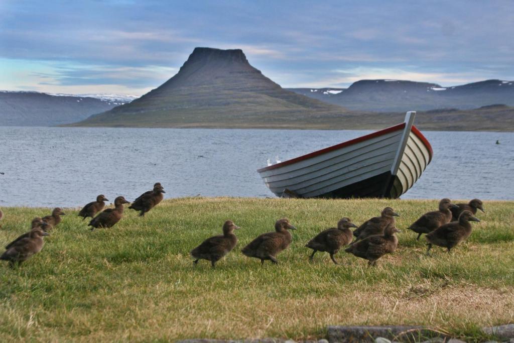 Hotel Isafjordur - Horn Exteriér fotografie